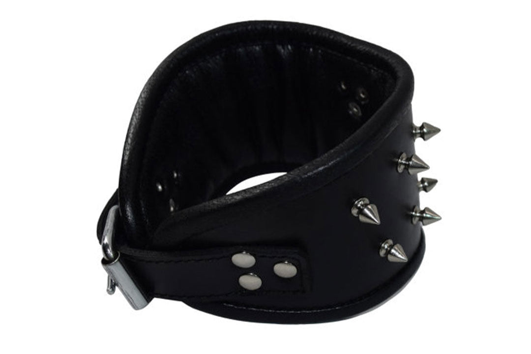 Adjustable Leather Posture Collar β Lockable Neck Collar with Ring & Padding