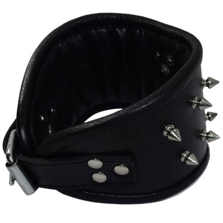 Adjustable Leather Posture Collar β Lockable Neck Collar with Ring & Padding