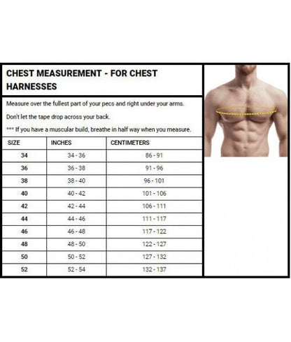 Men’s Leather Chest Harness with Red Piping + Free Armband