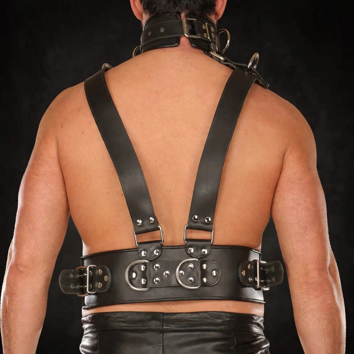 Real leather full body harness, back view
