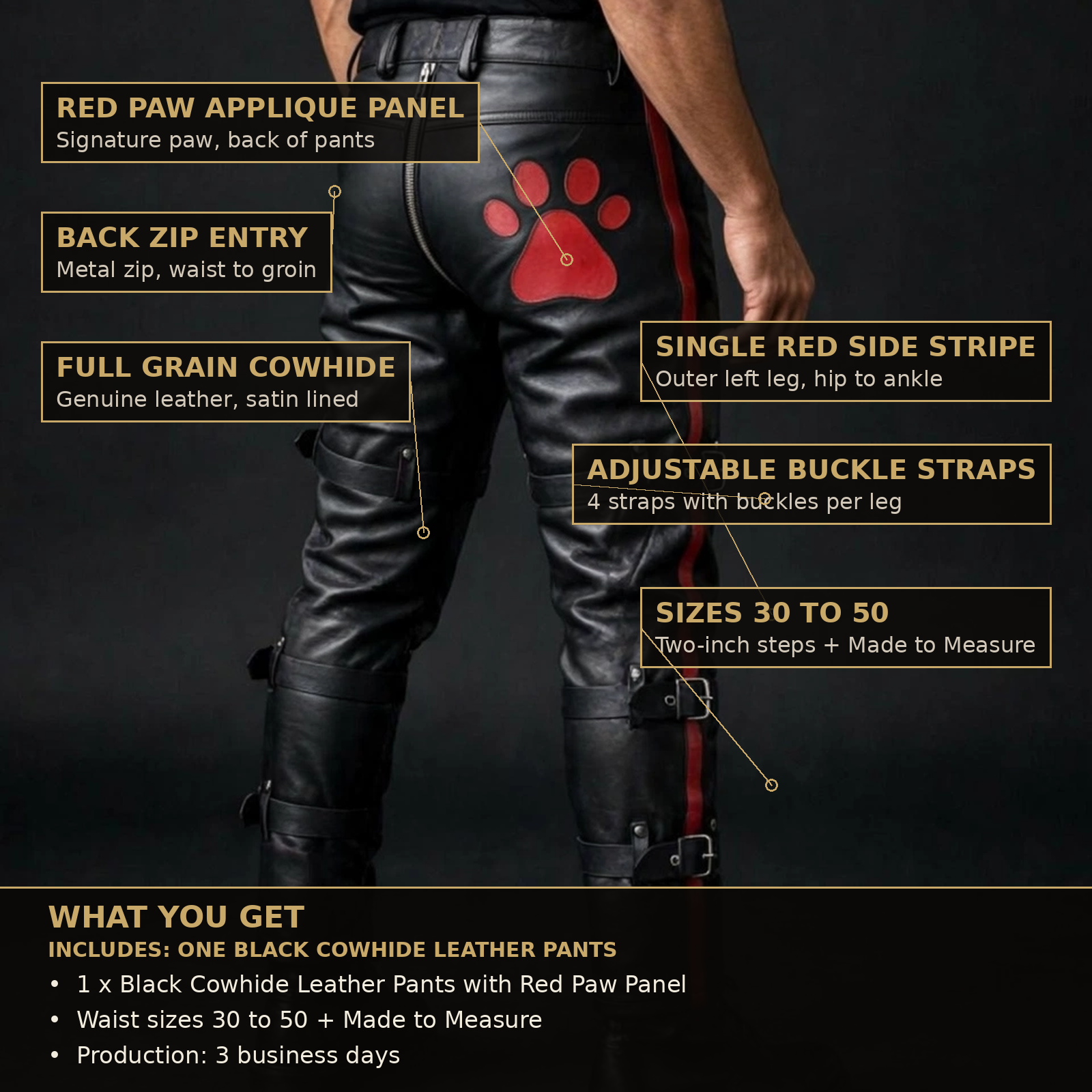 Buckle strap leather pants infographic, features, What You Get, sizing