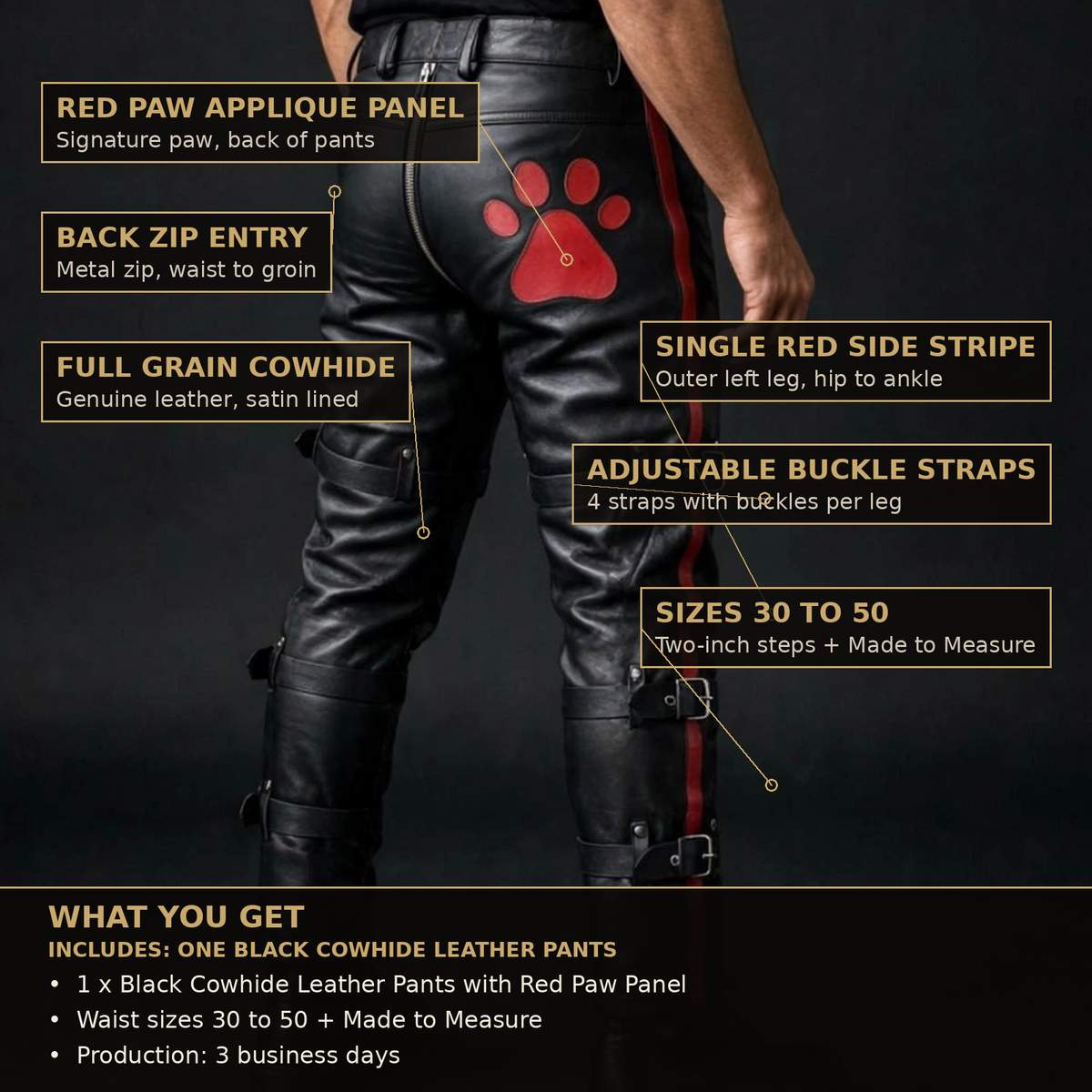 Buckle strap leather pants infographic, features, What You Get, sizing