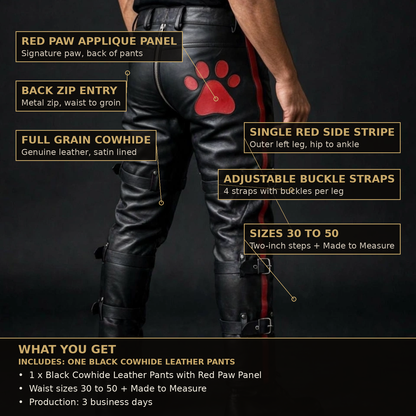 Buckle strap leather pants infographic, features, What You Get, sizing