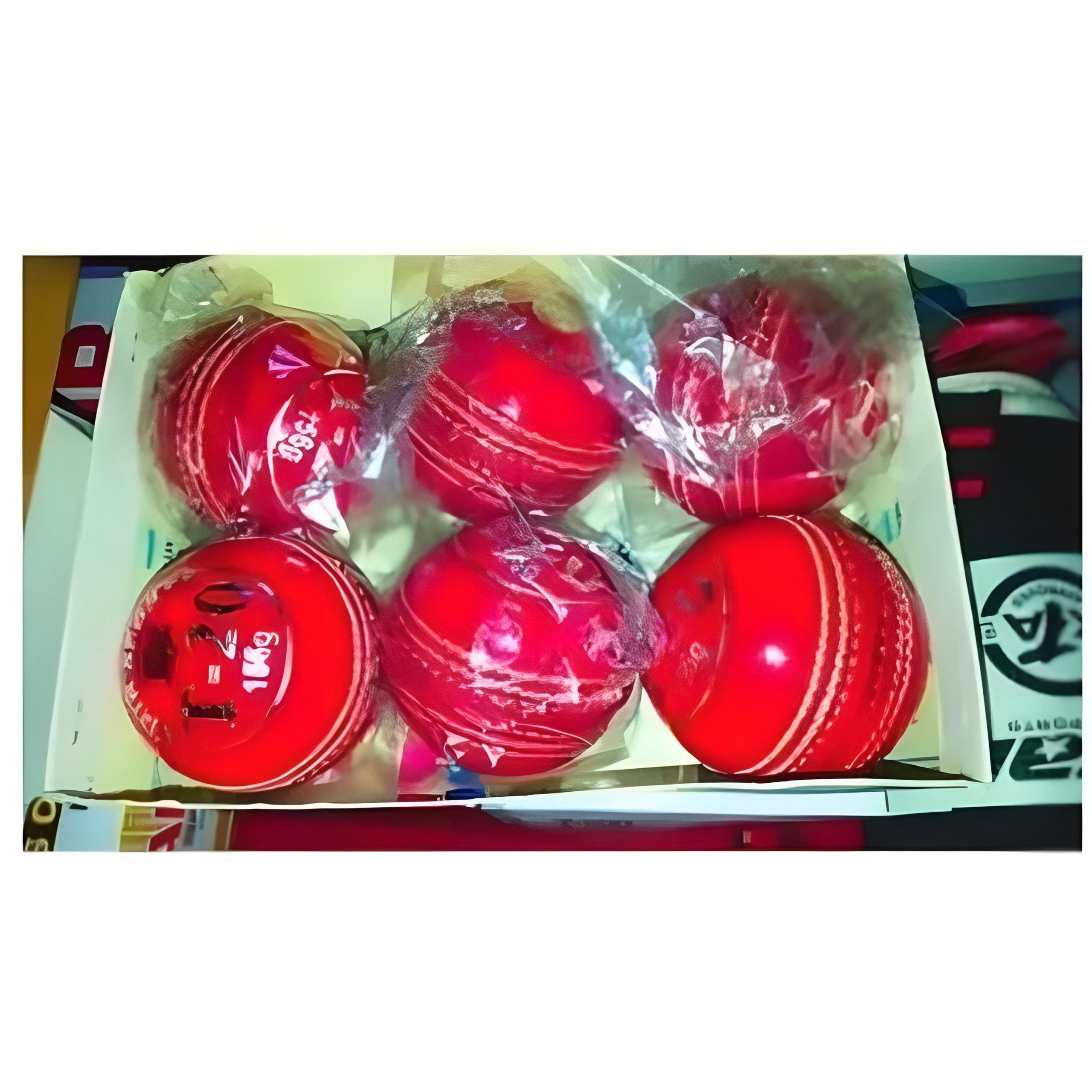 Red Cricket Ball Box – T20 Hard Ball for Matches