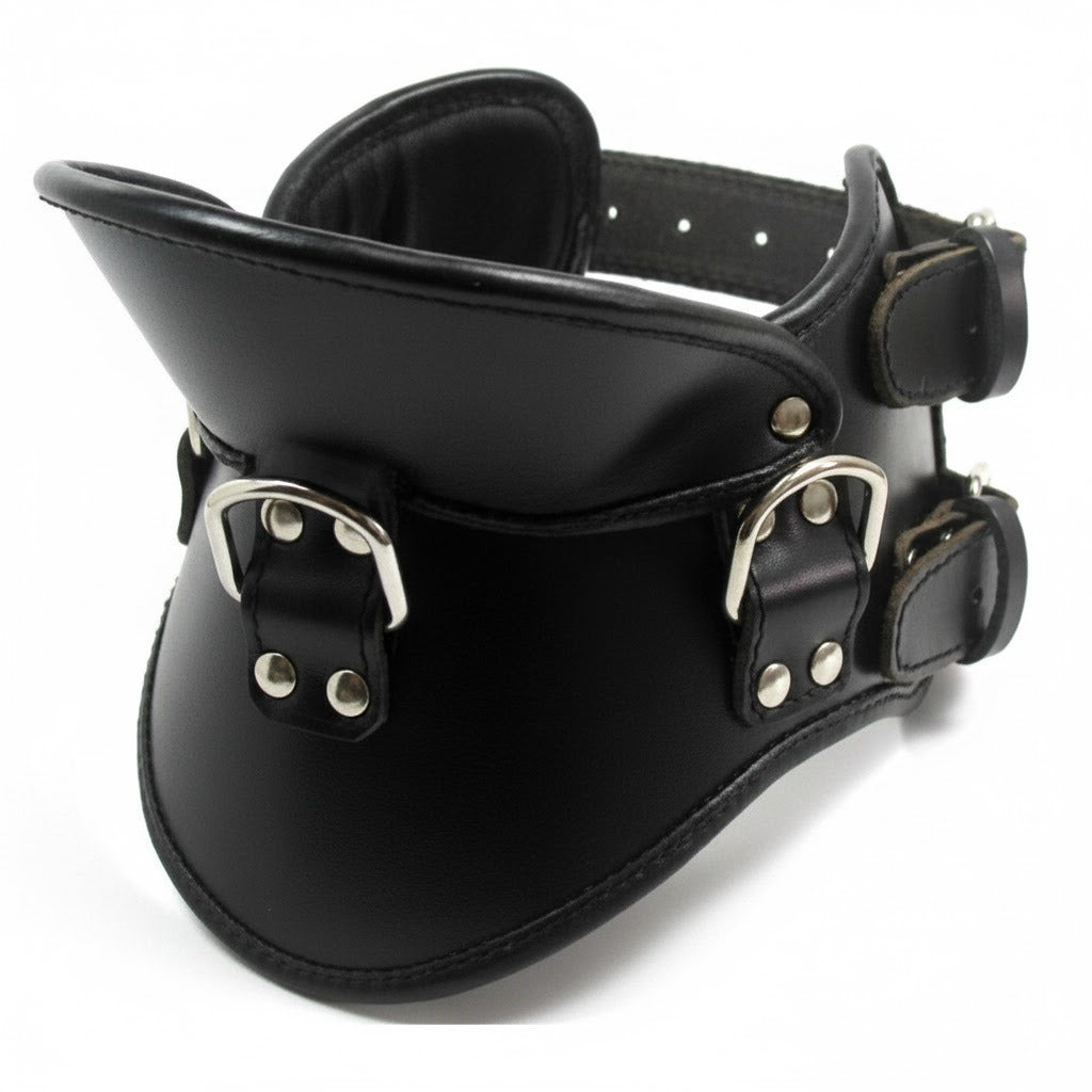 Premium Genuine Leather Posture Collar – Padded Neck Restraint with Triple D-Rings