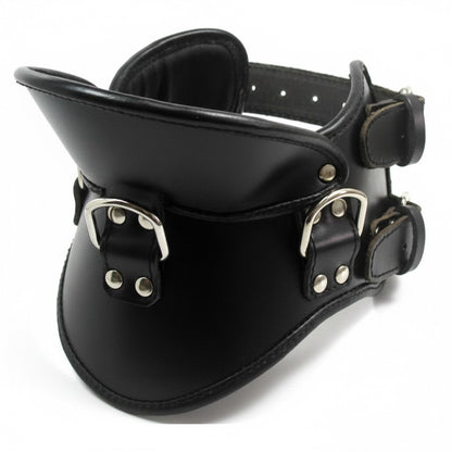 Premium Genuine Leather Posture Collar – Padded Neck Restraint with Triple D-Rings