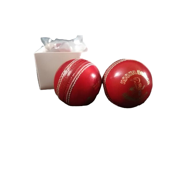 Red Cricket Ball Box – T20 Hard Ball for Matches