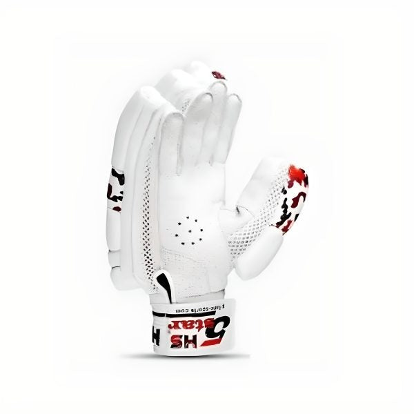 HS 5 Star Batting Gloves for Hard Ball Cricket