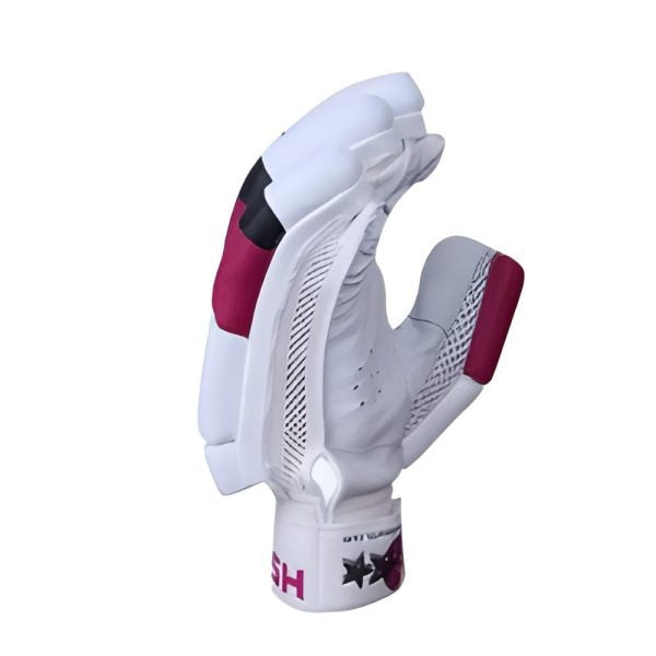 HS 2-Star Hardball Batting Gloves – Premium Cricket Gloves for Protection & Comfort