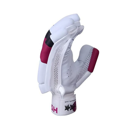 HS 2-Star Hardball Batting Gloves – Premium Cricket Gloves for Protection & Comfort