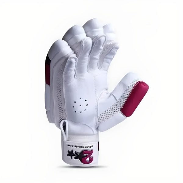 HS 2-Star Hardball Batting Gloves – Premium Cricket Gloves for Protection & Comfort