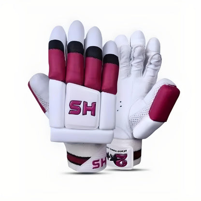 HS 2-Star Hardball Batting Gloves – Premium Cricket Gloves for Protection & Comfort