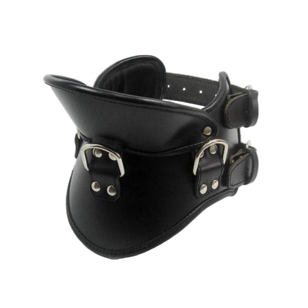 Premium Genuine Leather Padded Posture Collar with Triple D-Rings