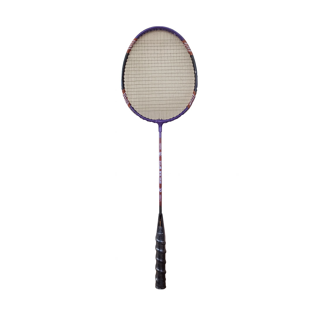 Pack of 9 Badminton Equipment Set – Stainless Steel Rackets, Nylon Shuttlecocks & Net